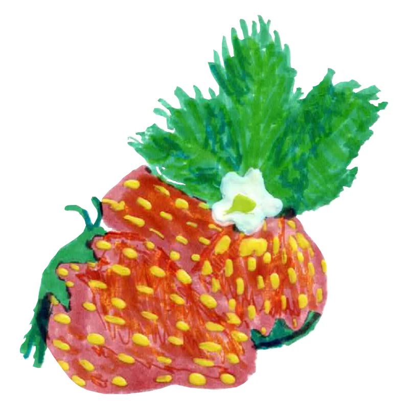 Erdbeeren Art