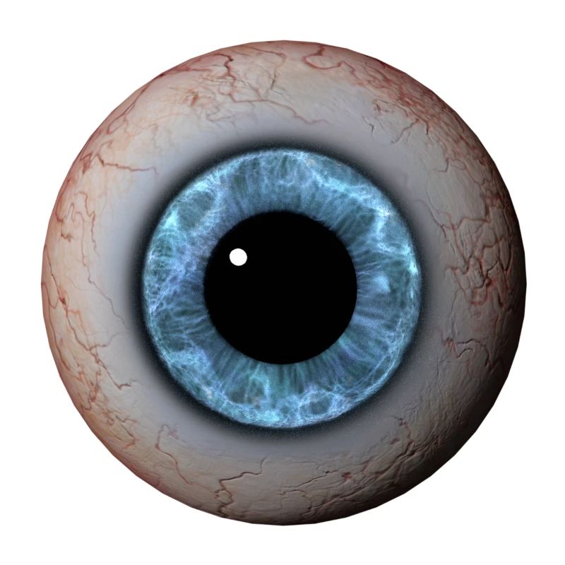 Gros plan des yeux Iris bleu