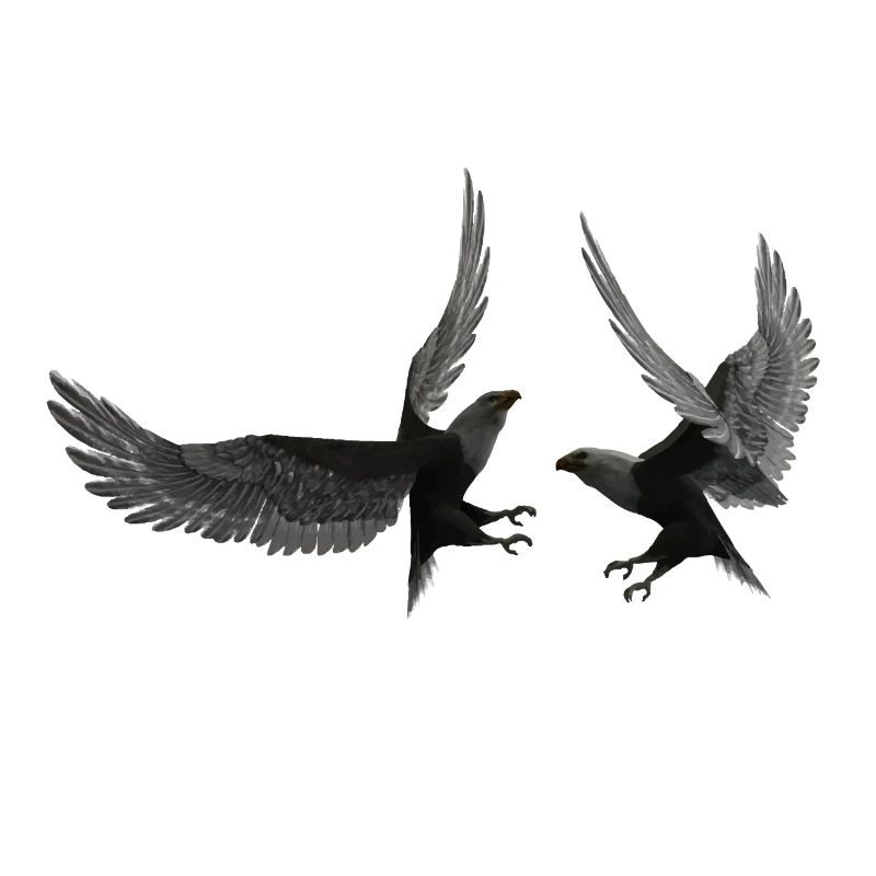 Dancing the falcons in flying pose
