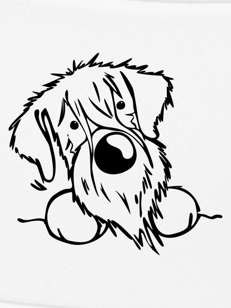 Neugieriger Schnauzer