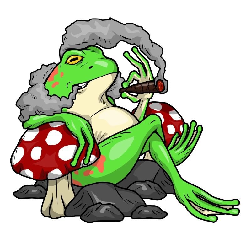 Frosch Zigarre