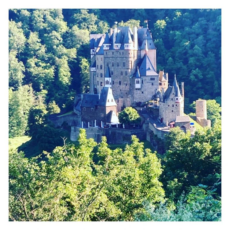 Château forestier à la campagne
