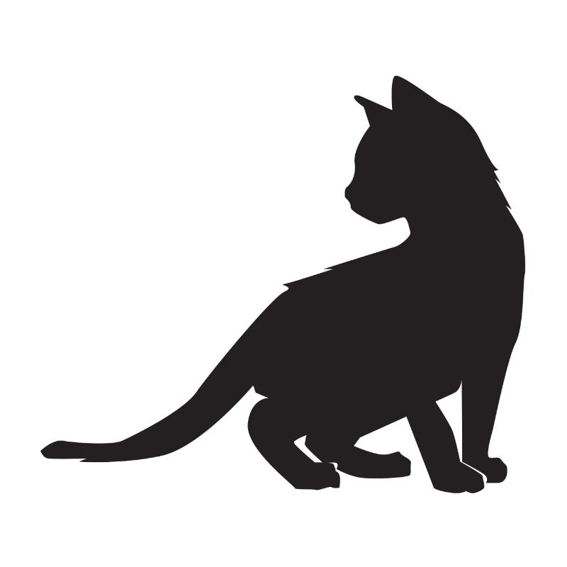 Kitten design