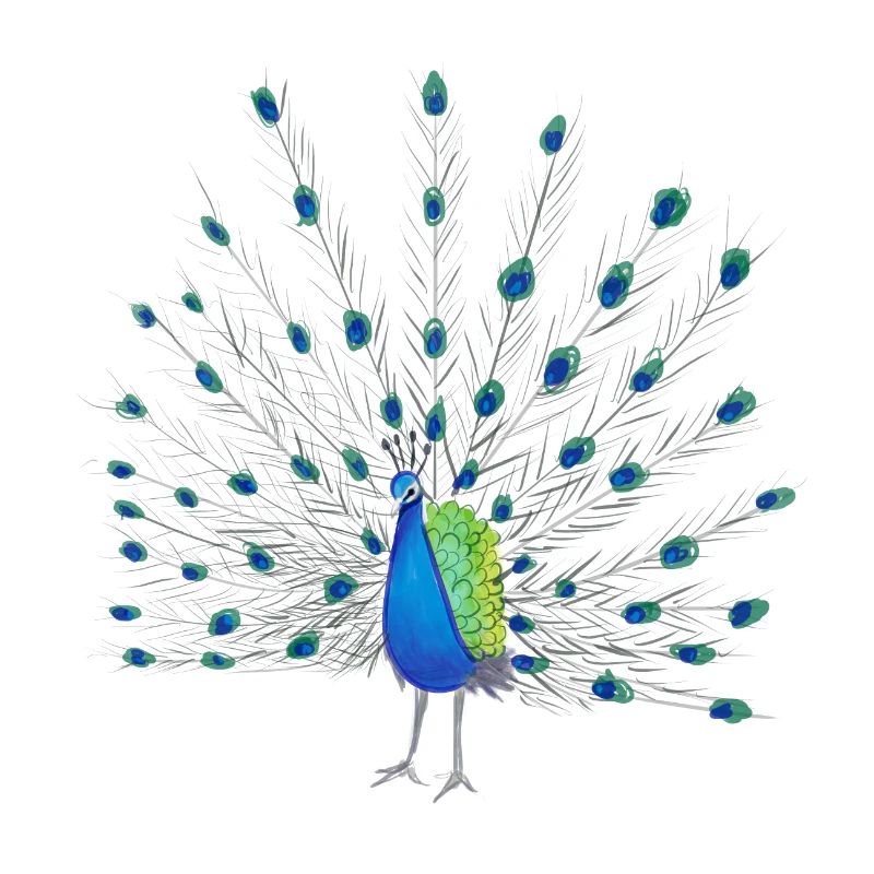 Peacock Feather Art