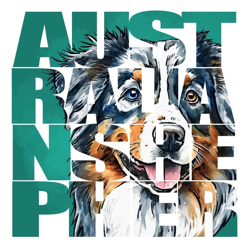 Australian Shepherd Portrait