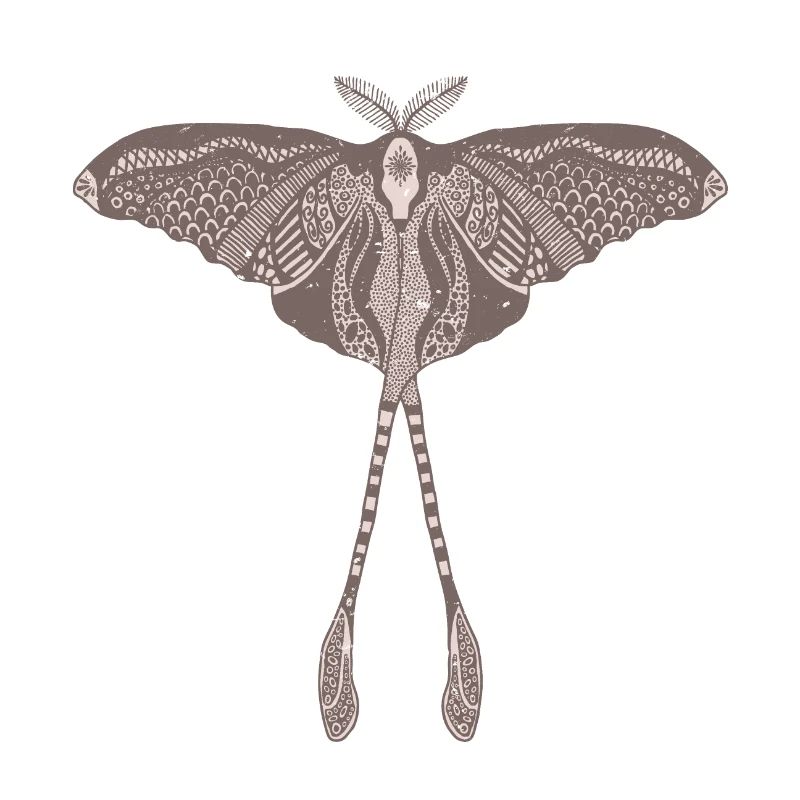 Chinese Moon Moth - Luna Moon Moth