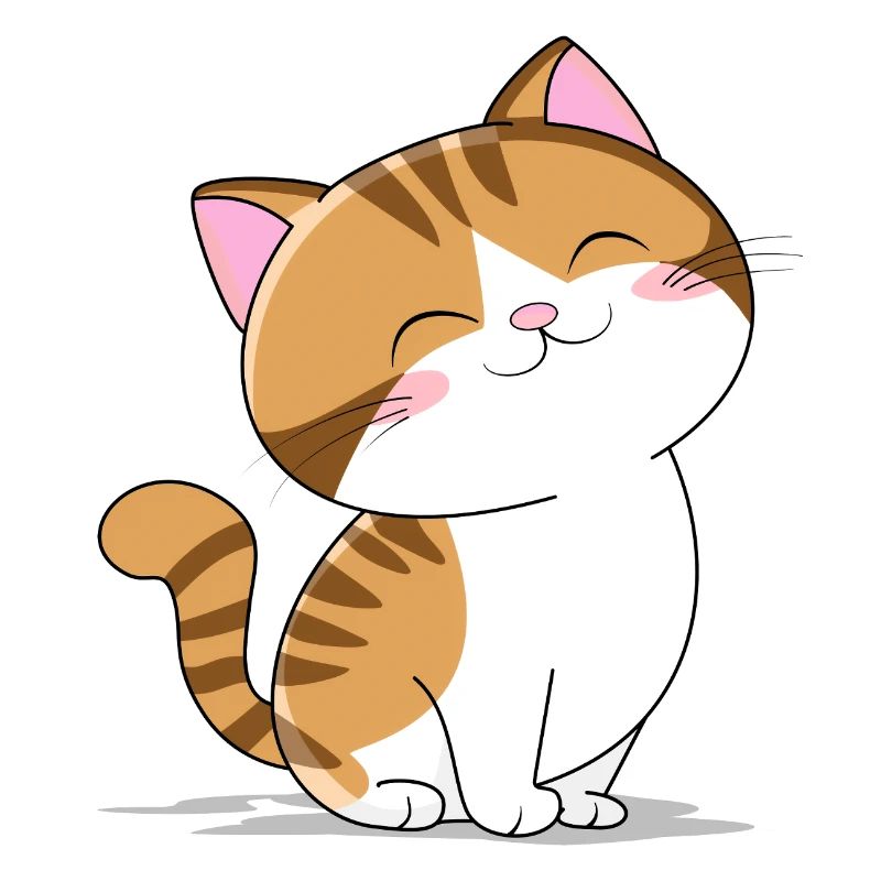 Petit chat mignon