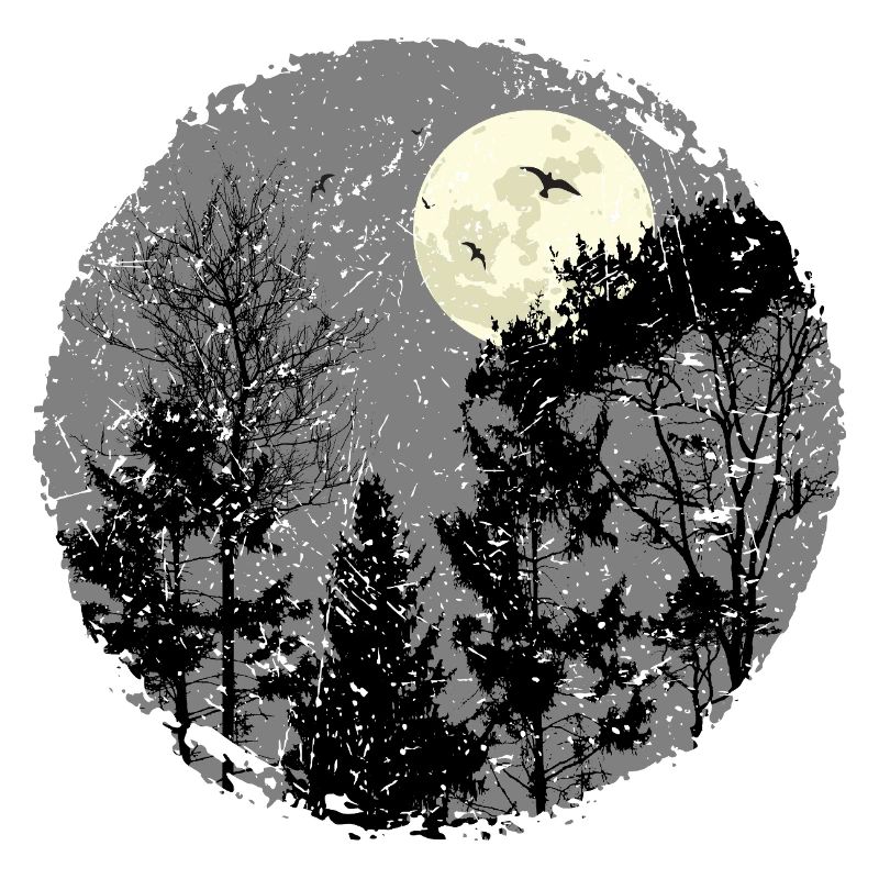 Scène de forêt nocturne sanctifiante