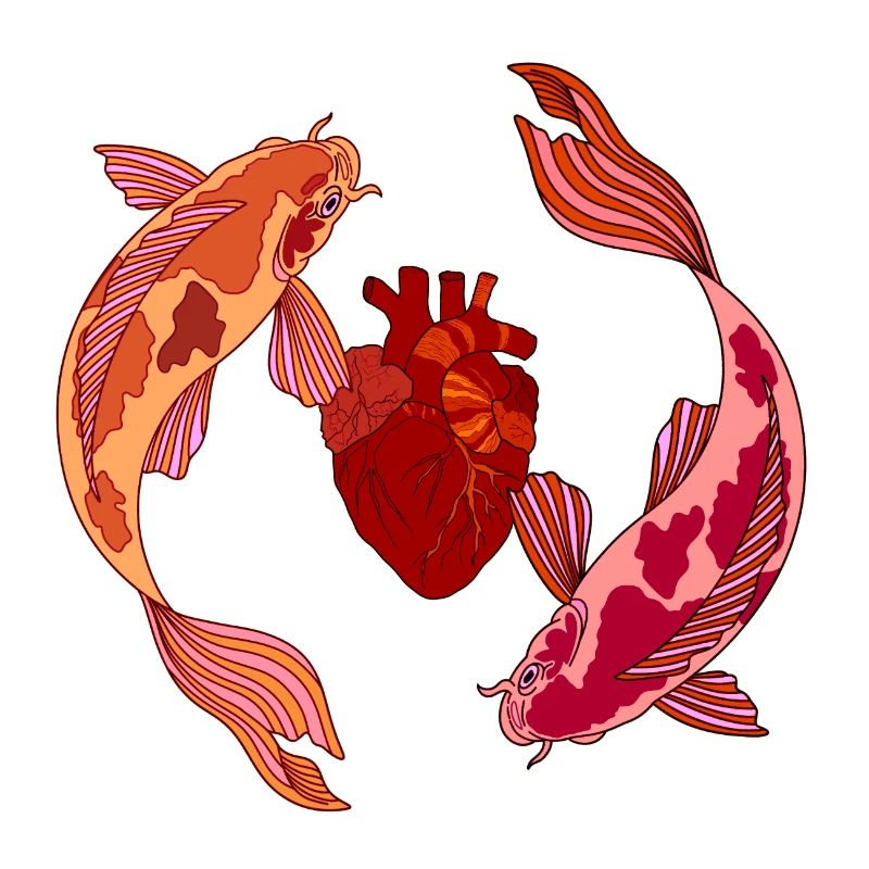Koi 
