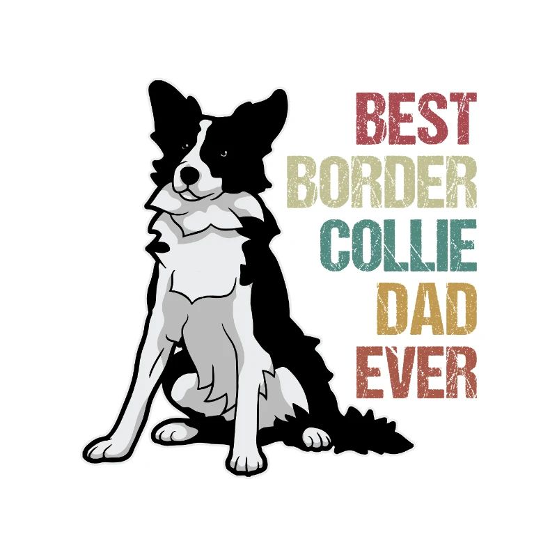 Border Collie Shepherd Dog Stubborn Funny Herding