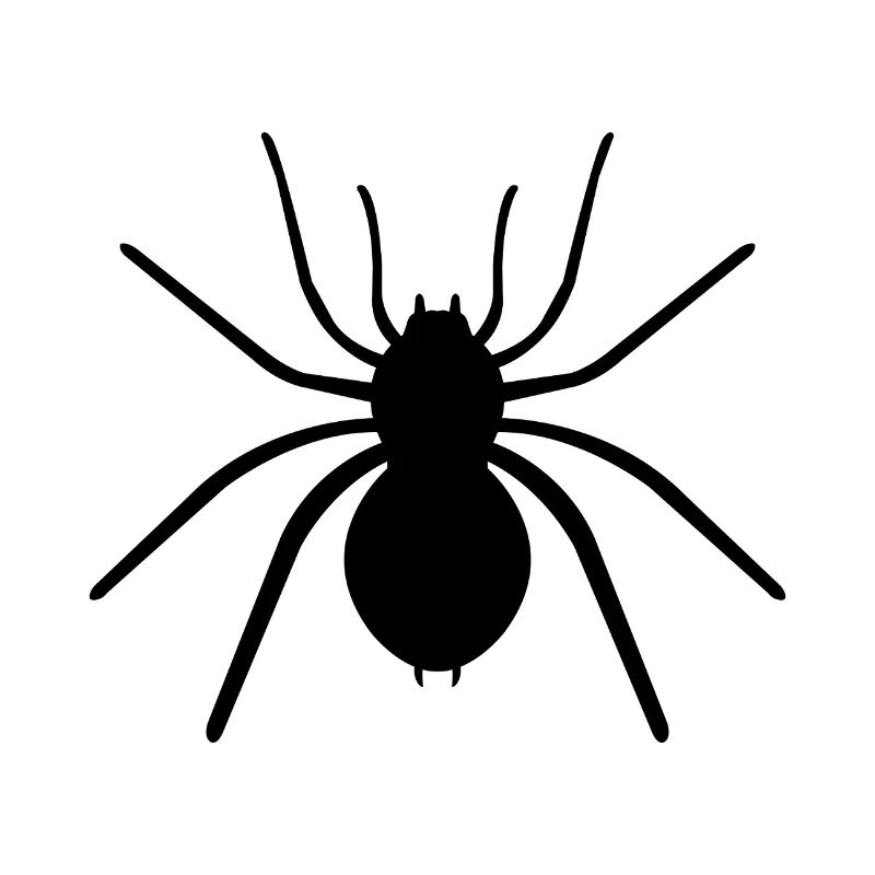 Spinne