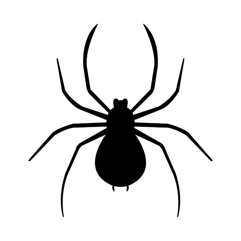 araignée