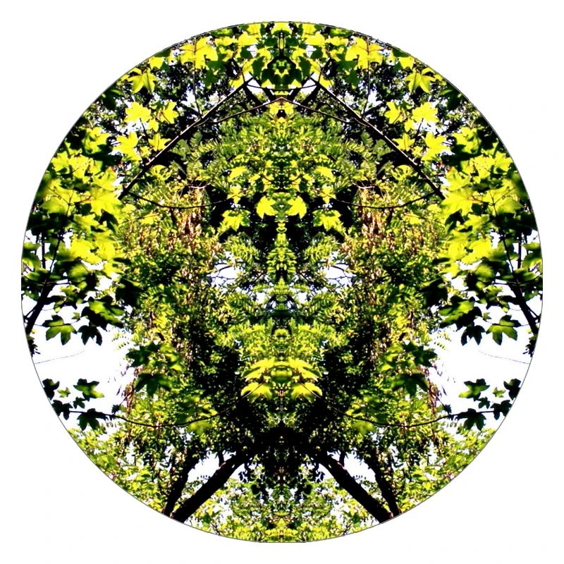Tree Nature Creature