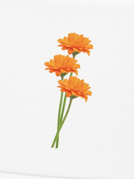 Orange Gerbera Trio