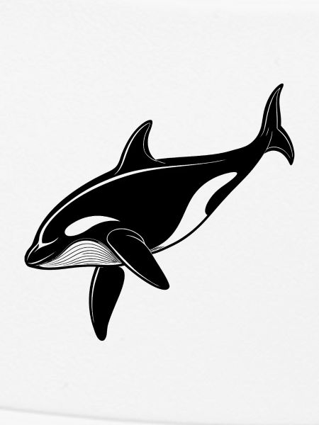 Killer whale