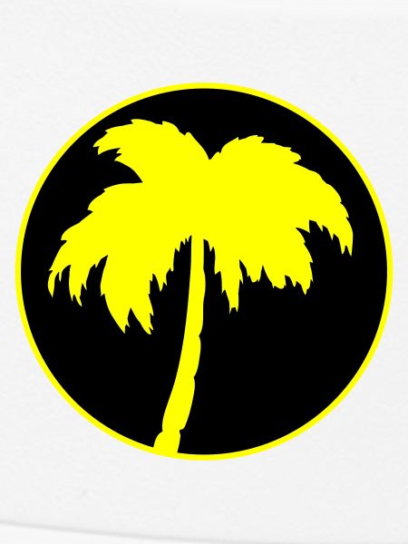 Palm trees