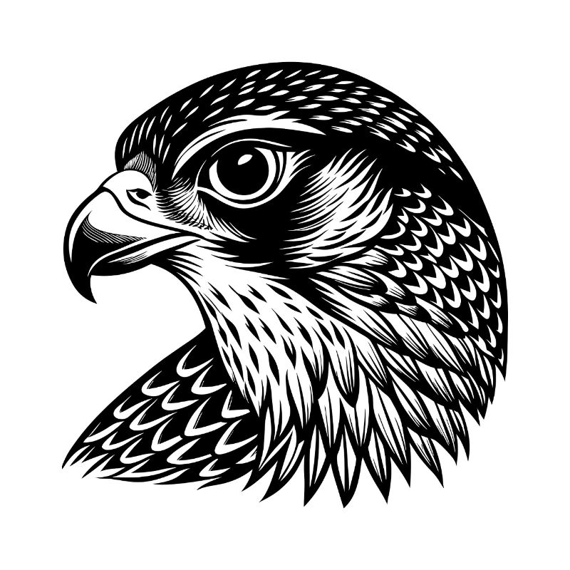 Falkenkopf