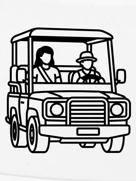safari