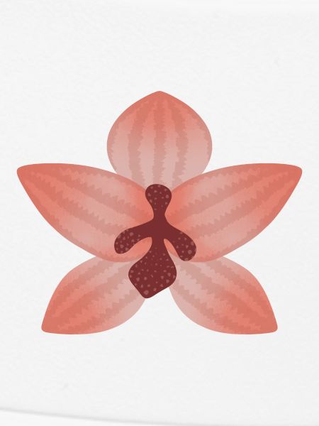 Pastel Orchid Bloom