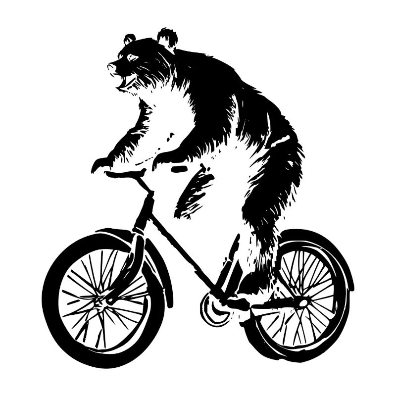 Fahrrad Bär