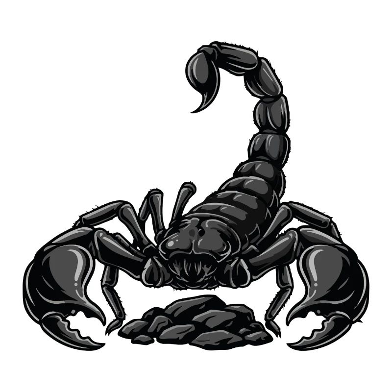 Black Scorpion Emperor Stinger Arachnid Tattoo