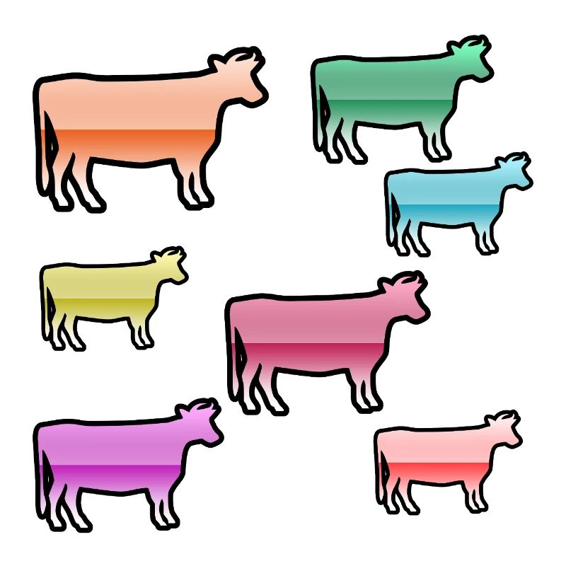 Vaches