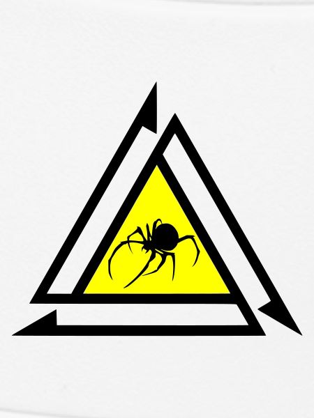 Spinne