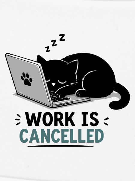 Katzenpause am Laptop