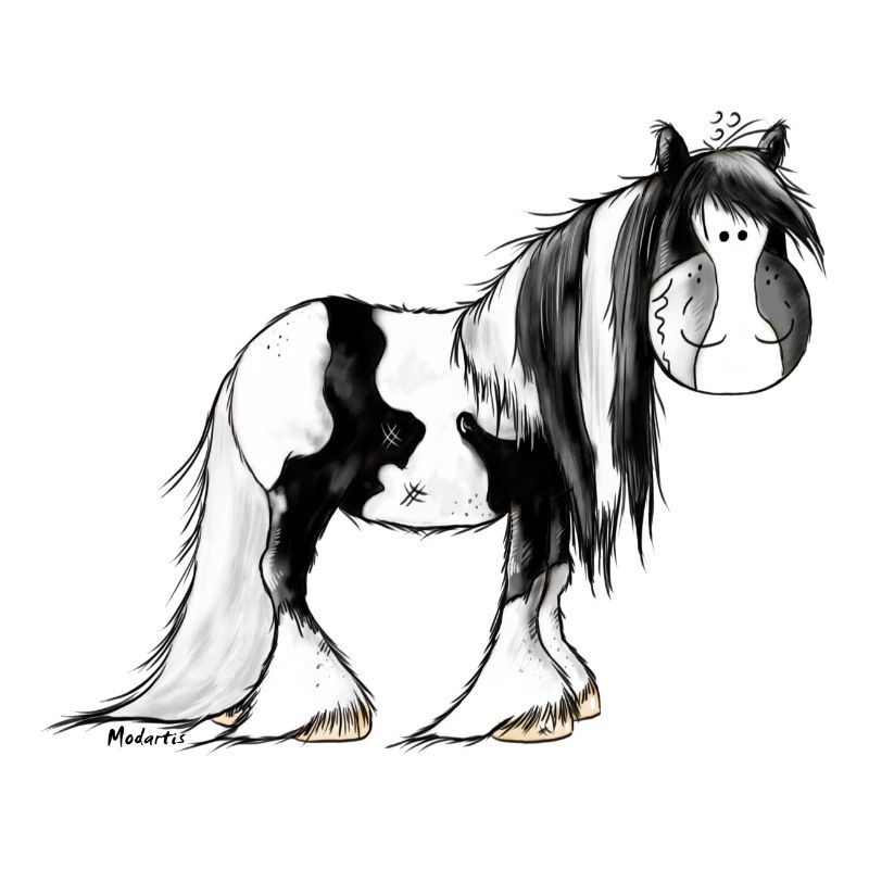 Irish Tinker Pferd - Pinto