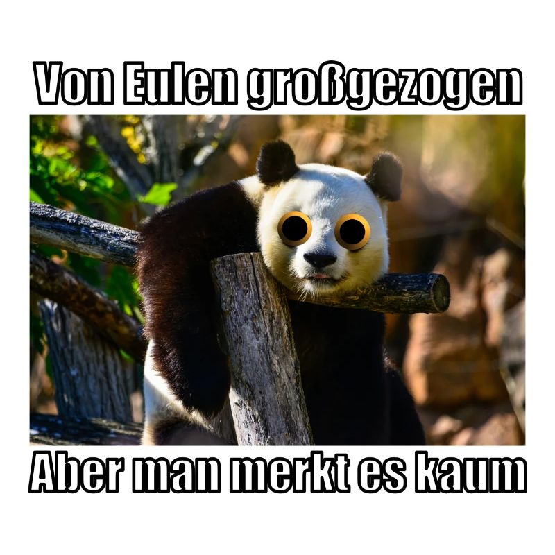 Panda Owl Panda Bear Raised By Owls German Funny