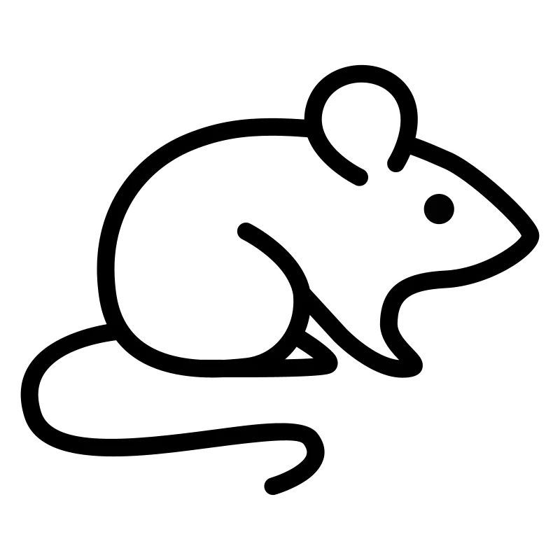mouse
