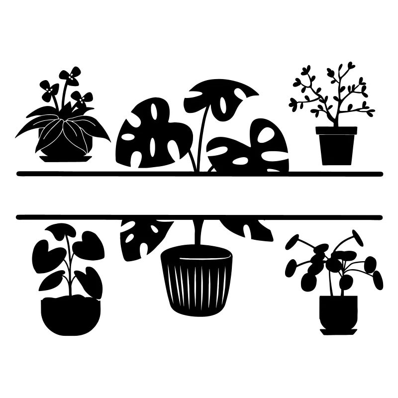 Plantes d’intérieur