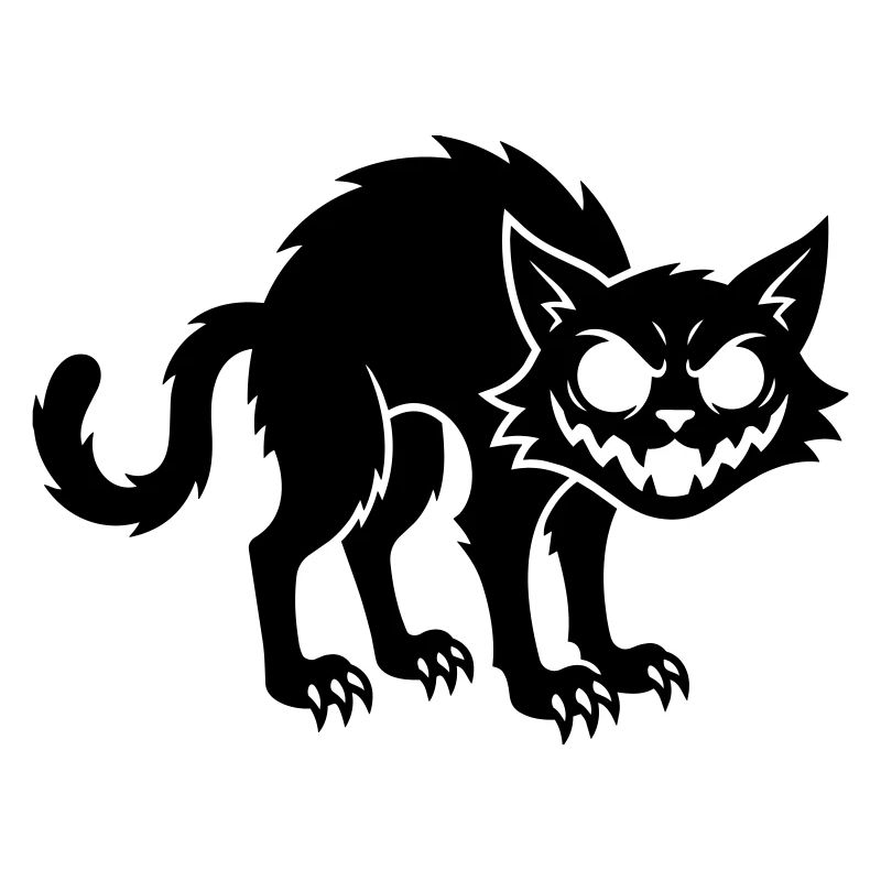 Angry black cat