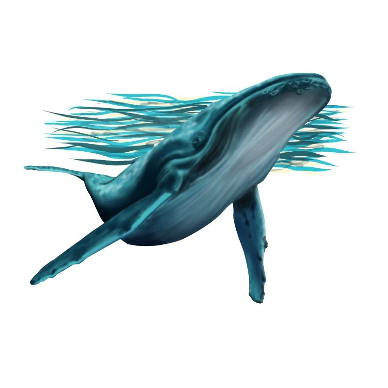 Wal