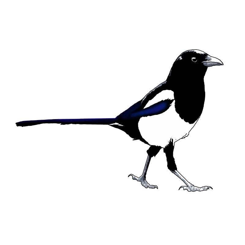 Magpie