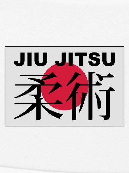 jiu jitsu