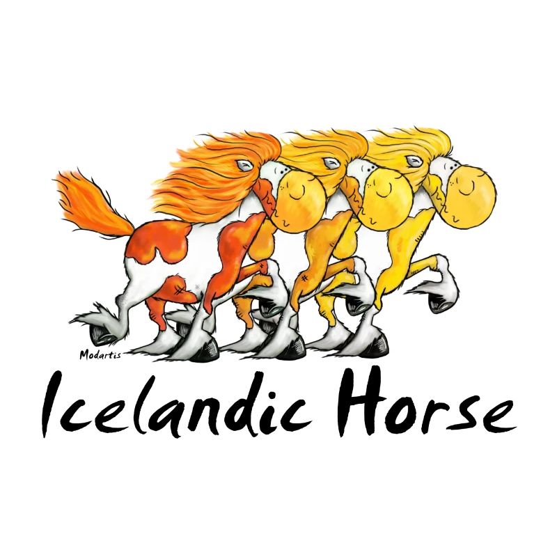 Islandpferde Trio - Isländer