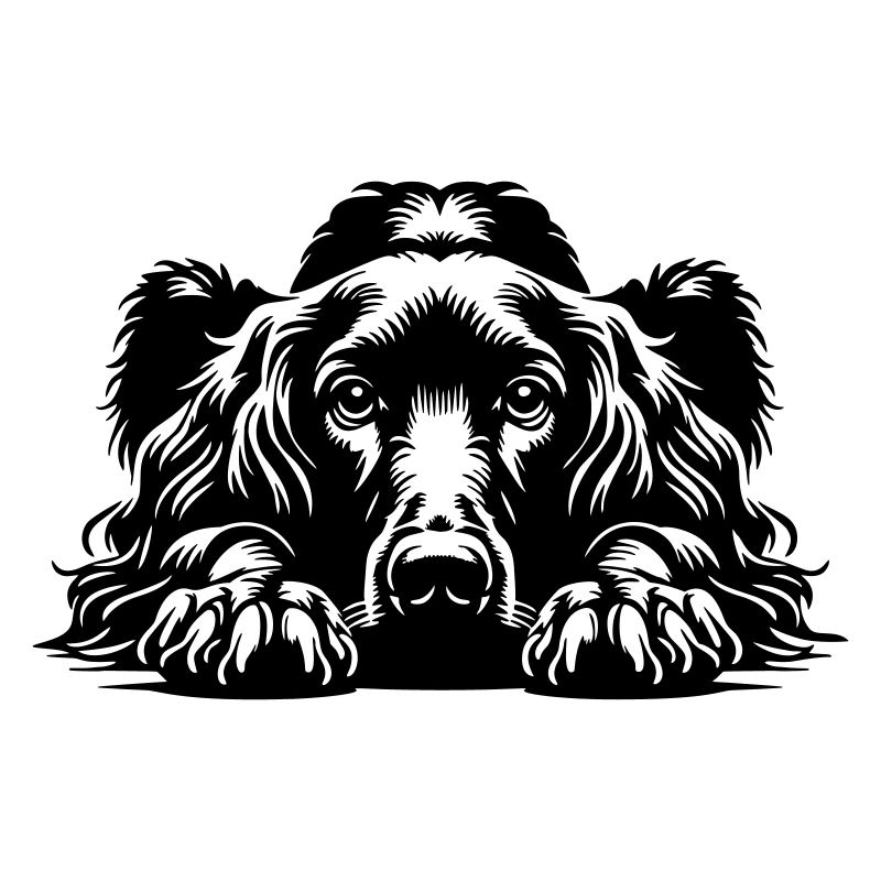 Irish Setter Kopf mit Pfoten