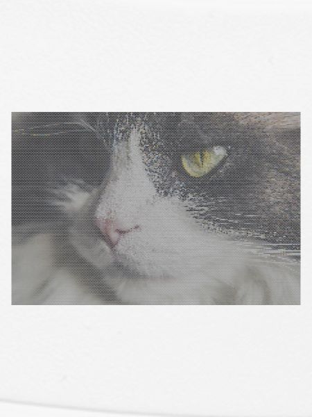 Katzenporträt im Glitch-Look