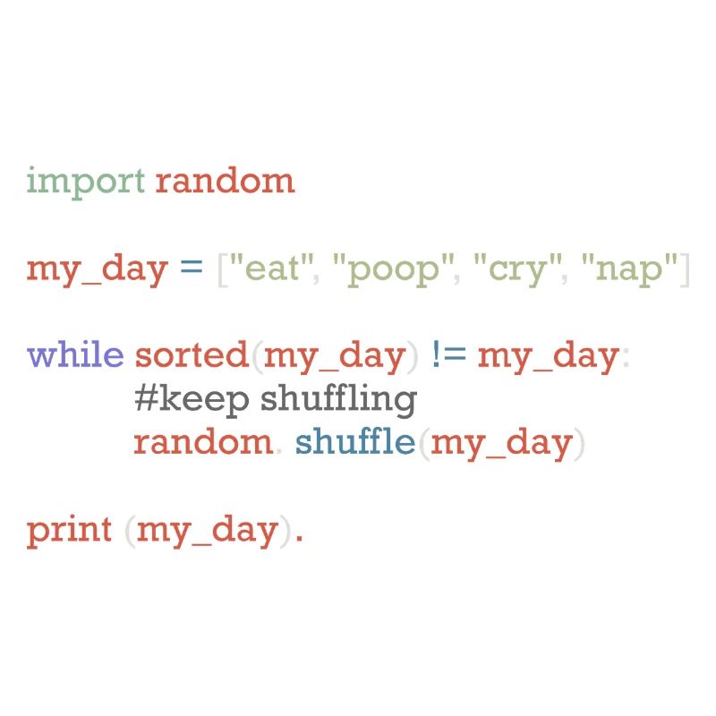 Drôle de code python sur la vie quotidienne, bébé