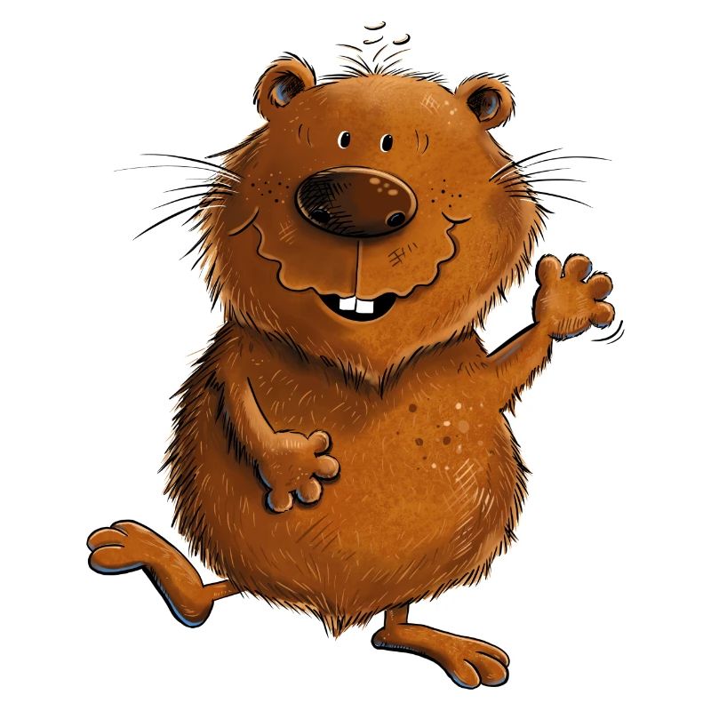 Drolliger Wombat Australien Wildtiere