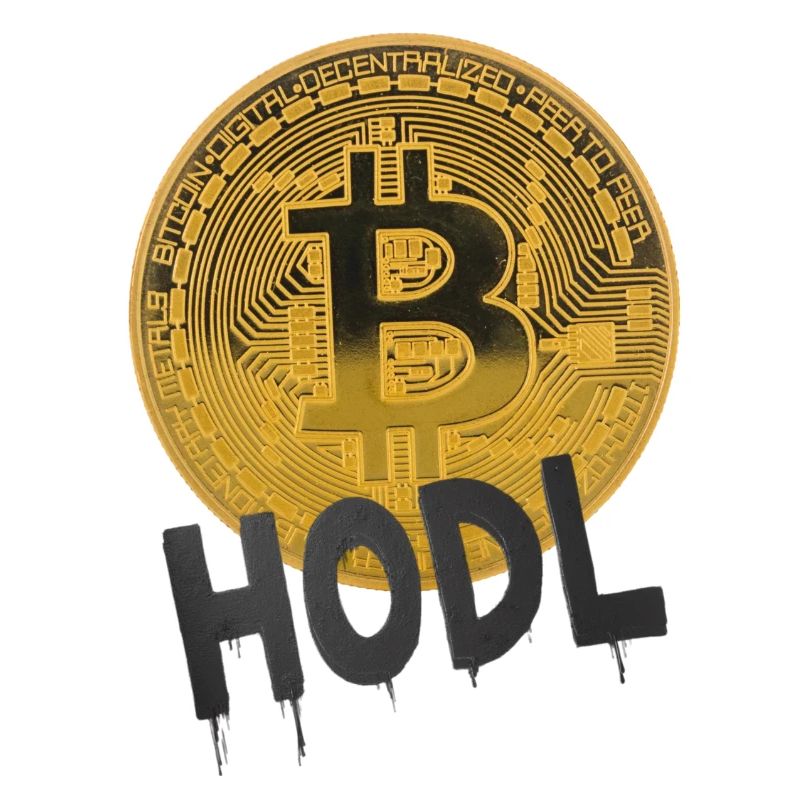 Hodl Bitcoin