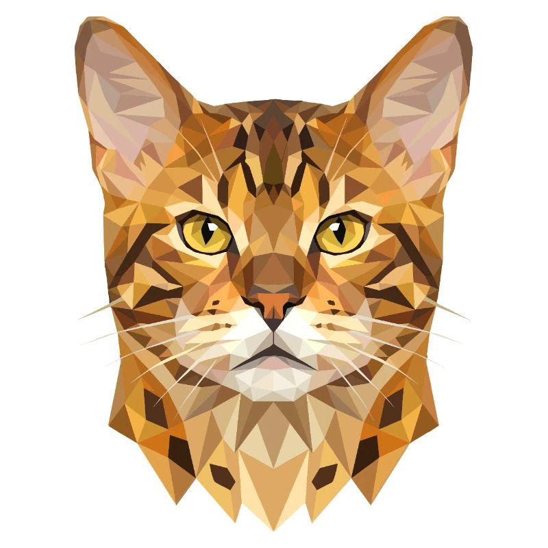 Bengal Katze Leopard Cat Leopardette Bengal Katzen