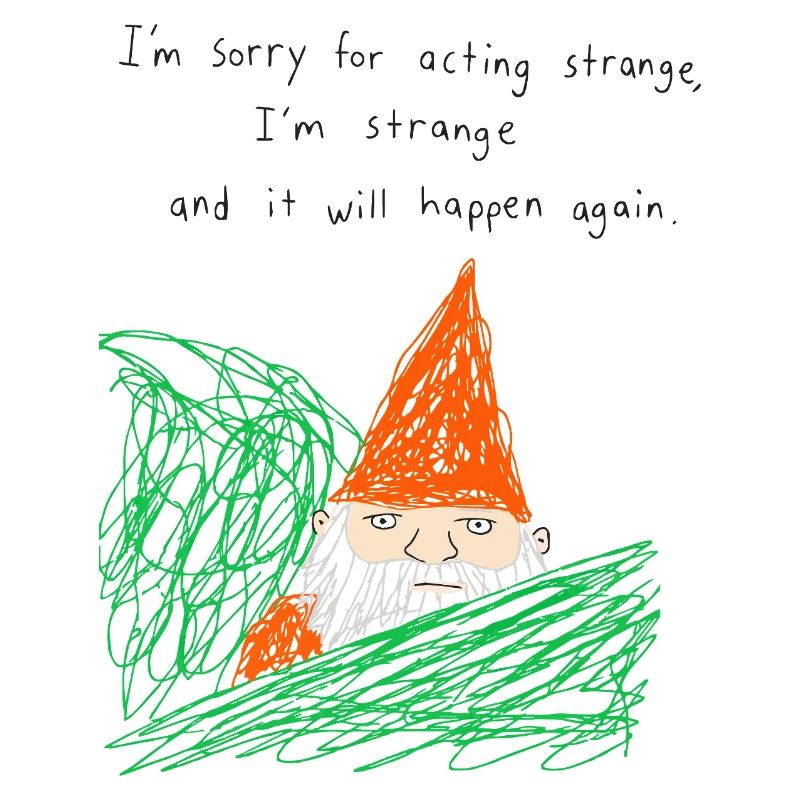 Sorry For Acting Strange Gartenzwerg Meme