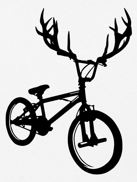 Wild bmx