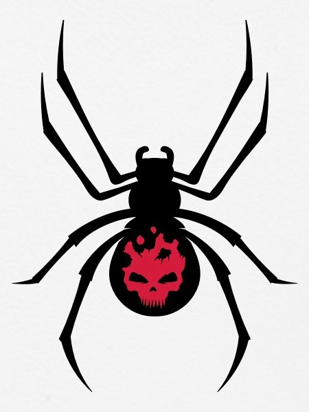 Schwarze Spinne mit Skull Muster