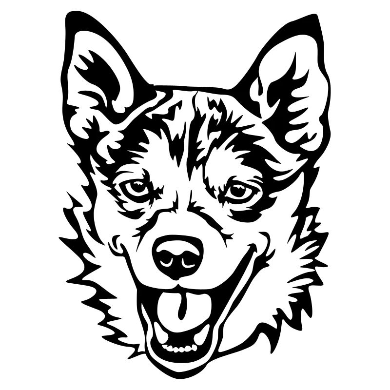 Norwegischer Lundehund