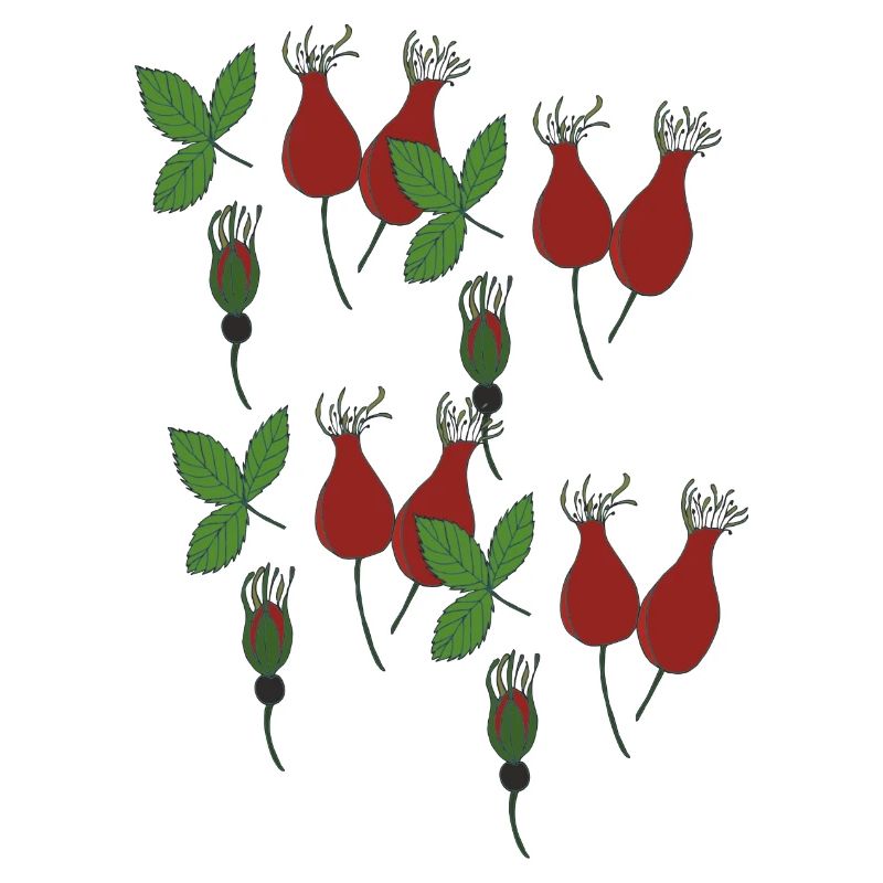 rose hip