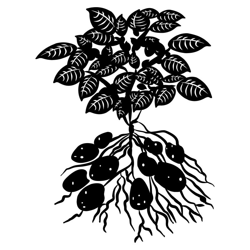 Logo der Kartoffelpflanze