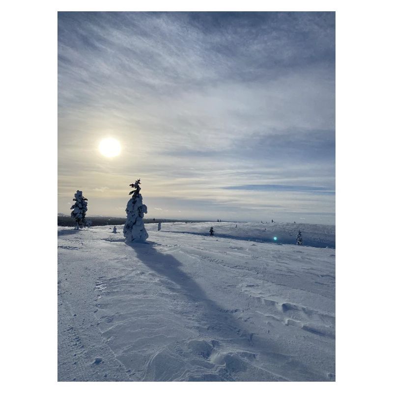 Winterlandschaft in der Sonne